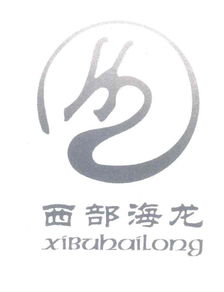 重庆市海硕商务信息咨询有限责任公司 专业引领商务信息咨询新风尚